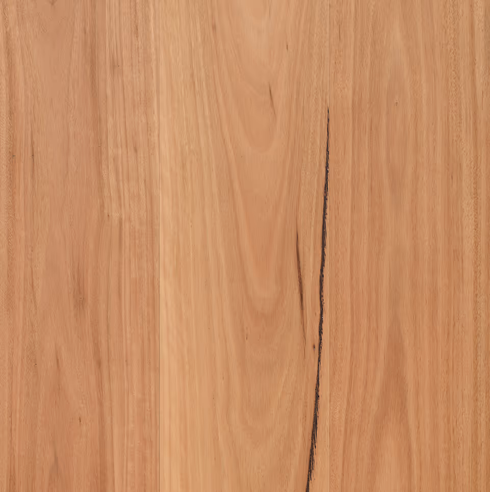 Bushland Wide - R481 Coastal Blackbutt
