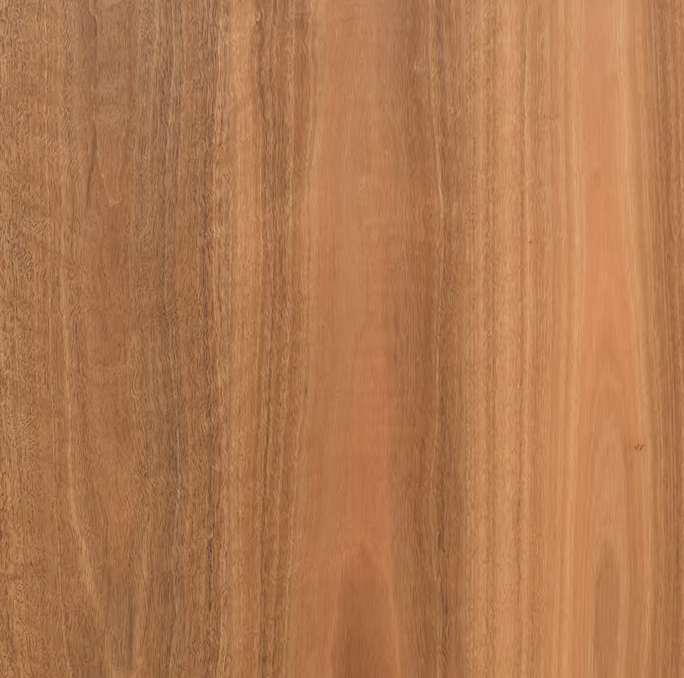 Bushland Wide - R582 Spotted Gum