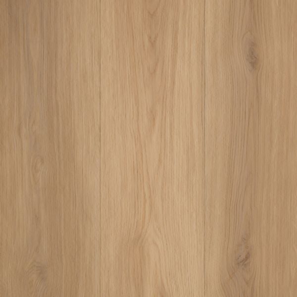 Forma Lite - VE25025 Nambour