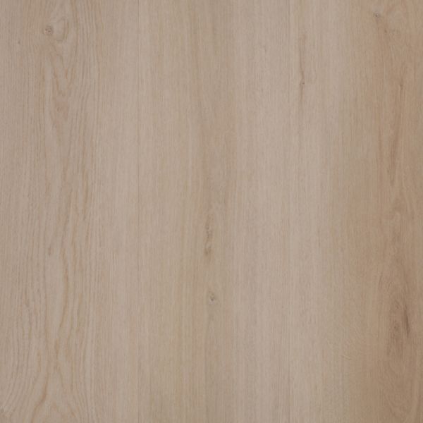 Forma Plus - VP45054 Spencer