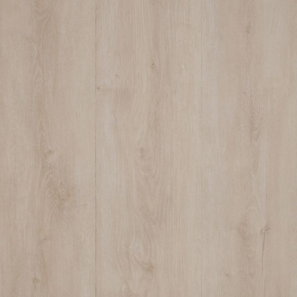 Forma Plus - VO45077 Margate