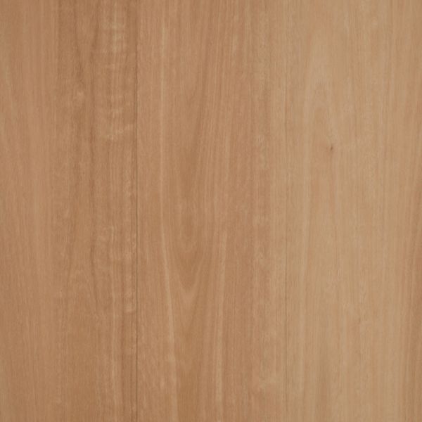 Forma Plus - VP45052 Coscove Blackbutt