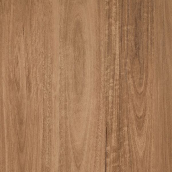 Forma Plus - VP45051 Bracken Spotted Gum