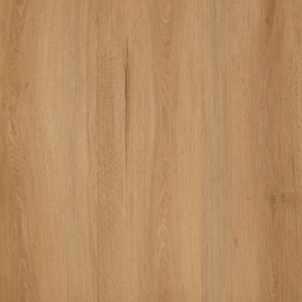 Forma Plus - VO45073 Hosier