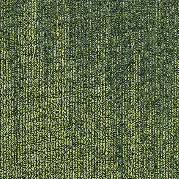 Horizon - 13 Shamrock