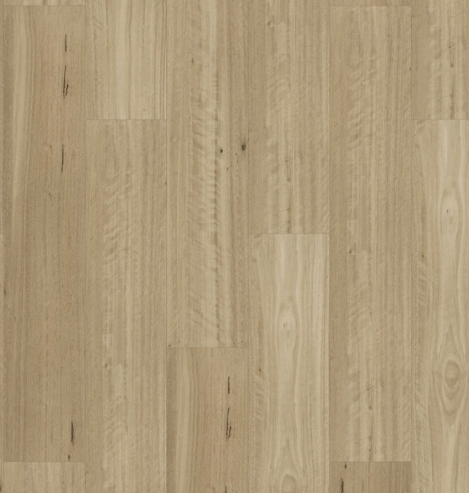 Kingswood 1.5 Hybrid - Summerset Blackbutt