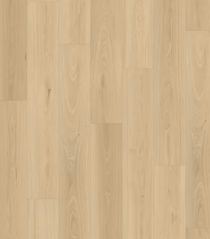 Queenstown 1.2 (sqm) - Kingston