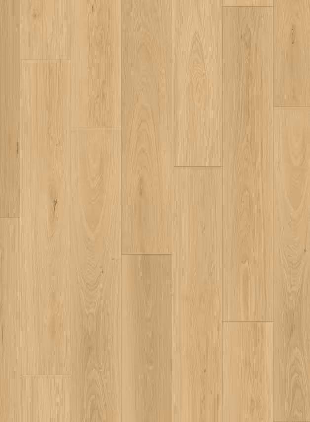 Queenstown 1.2 (sqm) - Sandy Point