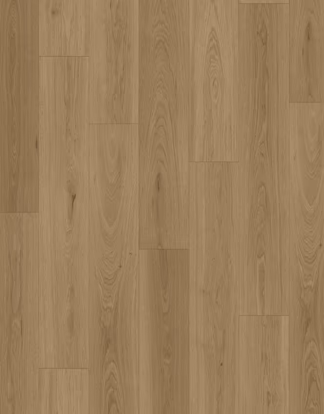 Queenstown 1.2 (sqm) - Roseneath