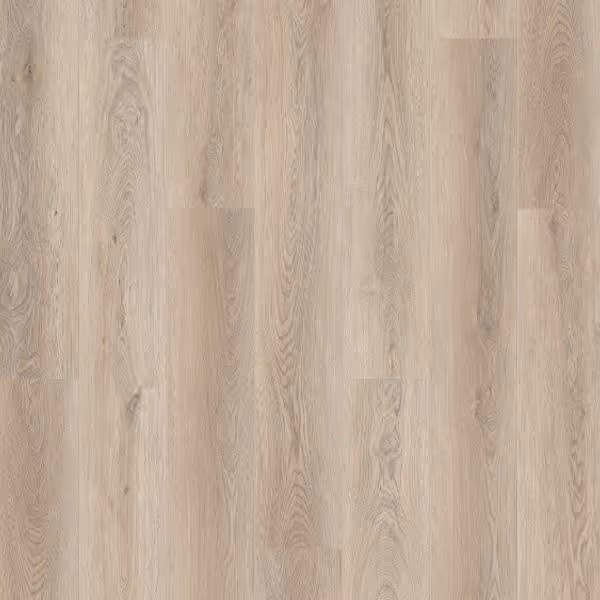 Queenstown 1.5 (sqm) - Mt Eden