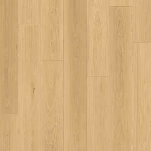 Queenstown 1.5 (sqm) - Sandy Point