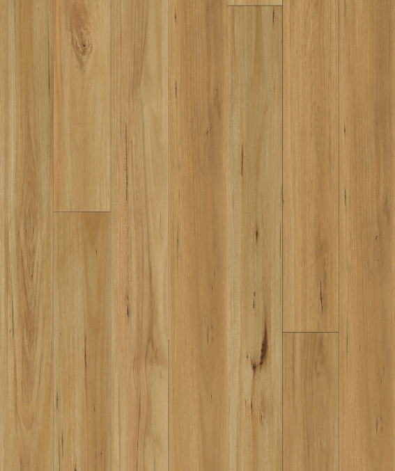 Queenstown 1.5 (sqm) - Blackbutt
