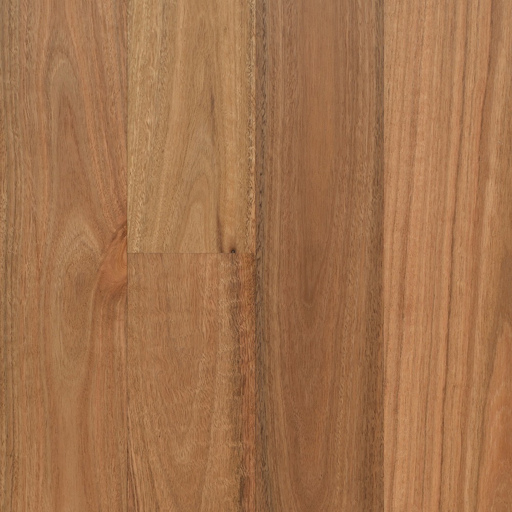 Bushland Classic Longboard - R333 Spotted Gum