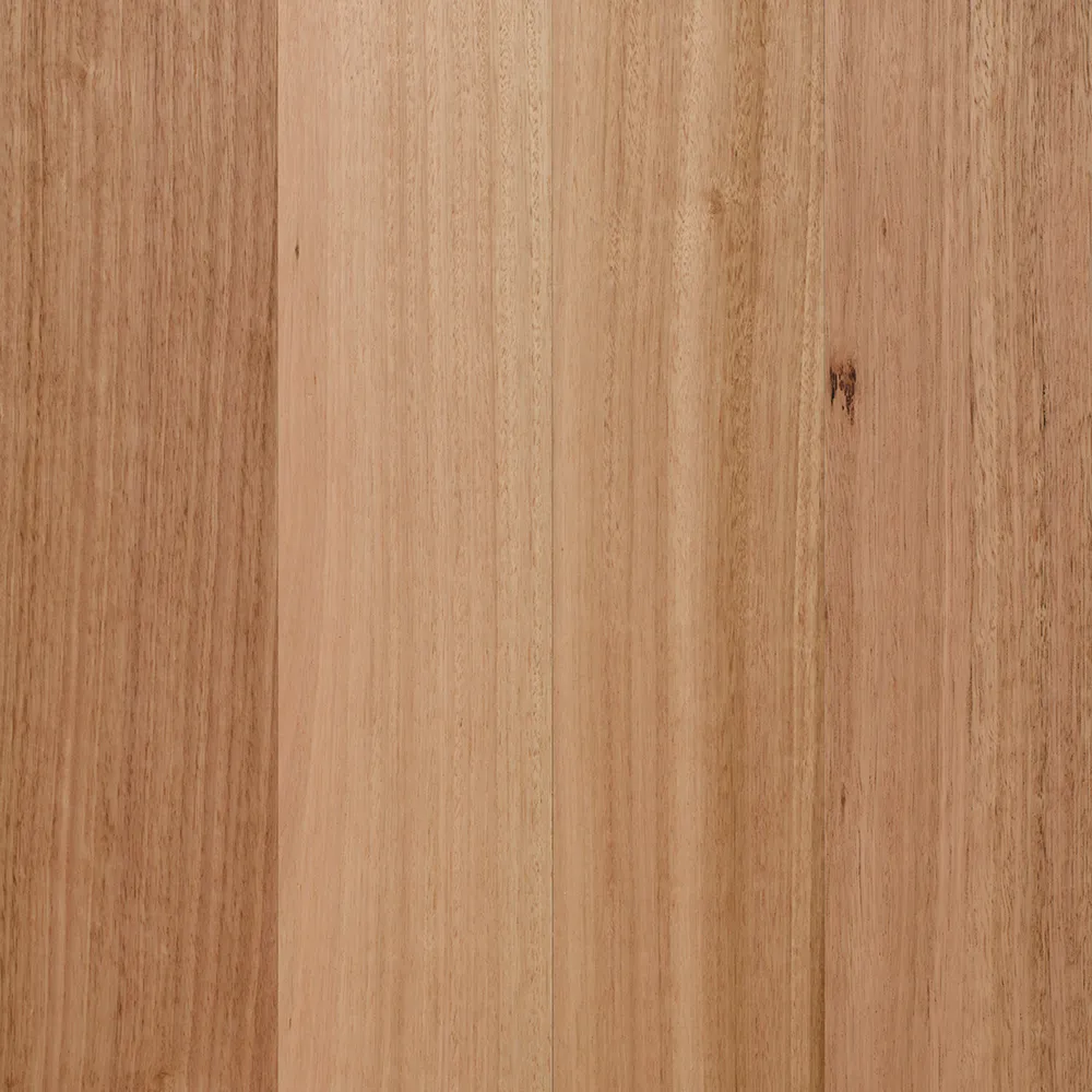 Bushland Classic Longboard - R131 Tasmanian Oak