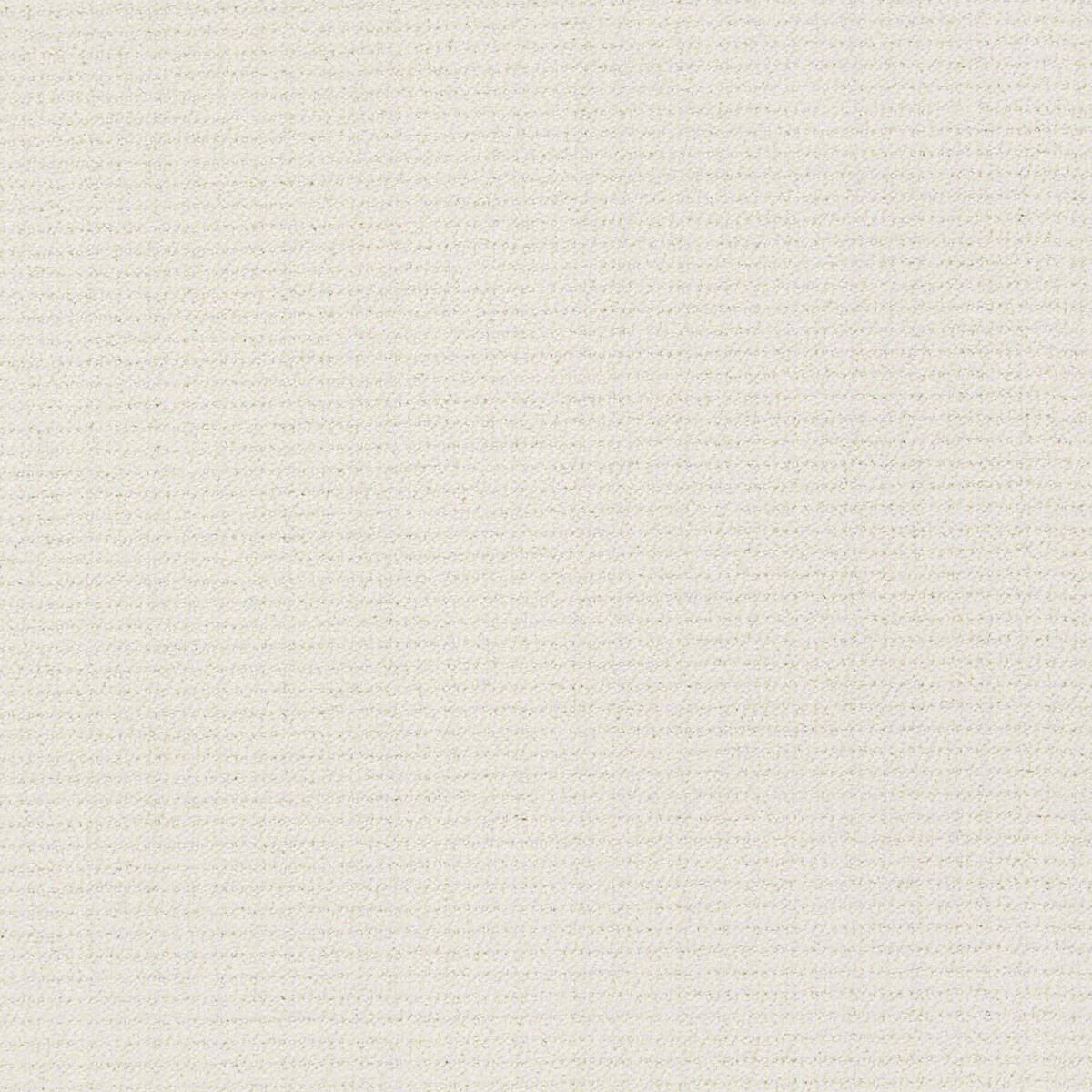 Milano - 17 Sugar Cookie