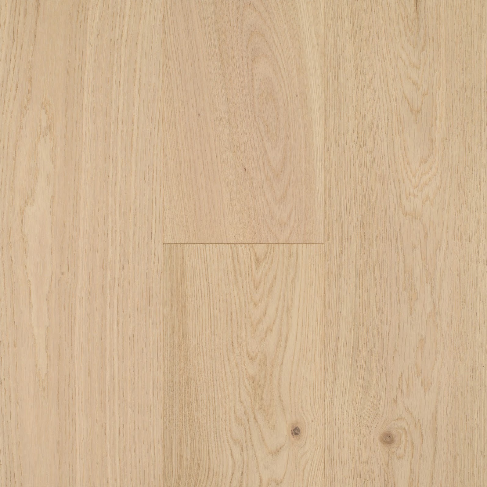 Vienna Grande - C02 Monroe