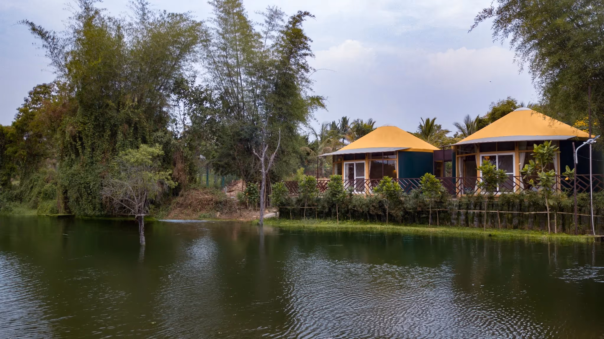 Twin modern yurts in a forest resort setting with bamboo fencing and paved pathways