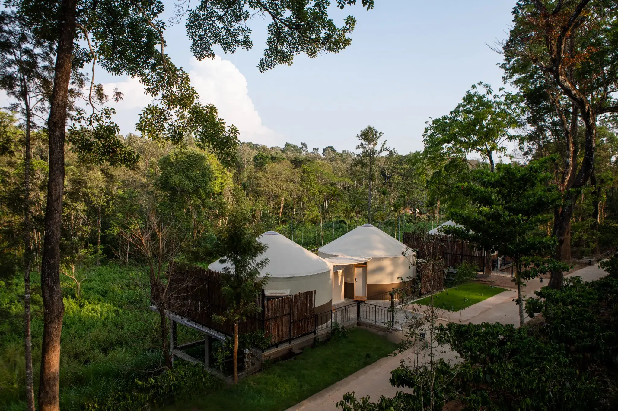 Modern yurt exterior illuminated with warm evening lights, surrounded by forest for a secluded retreat vibe.