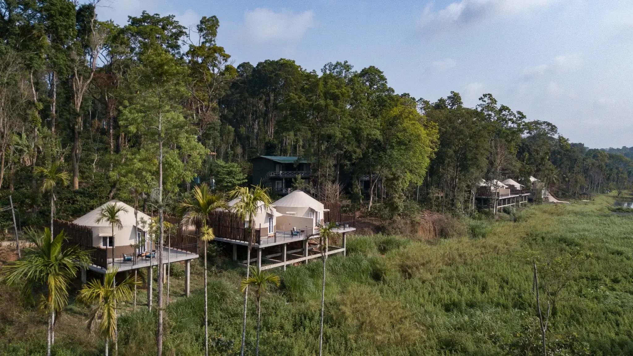 Cluster of luxury yurts at eco-resort nestled in lush greenery, designed for upscale glamping experiences.