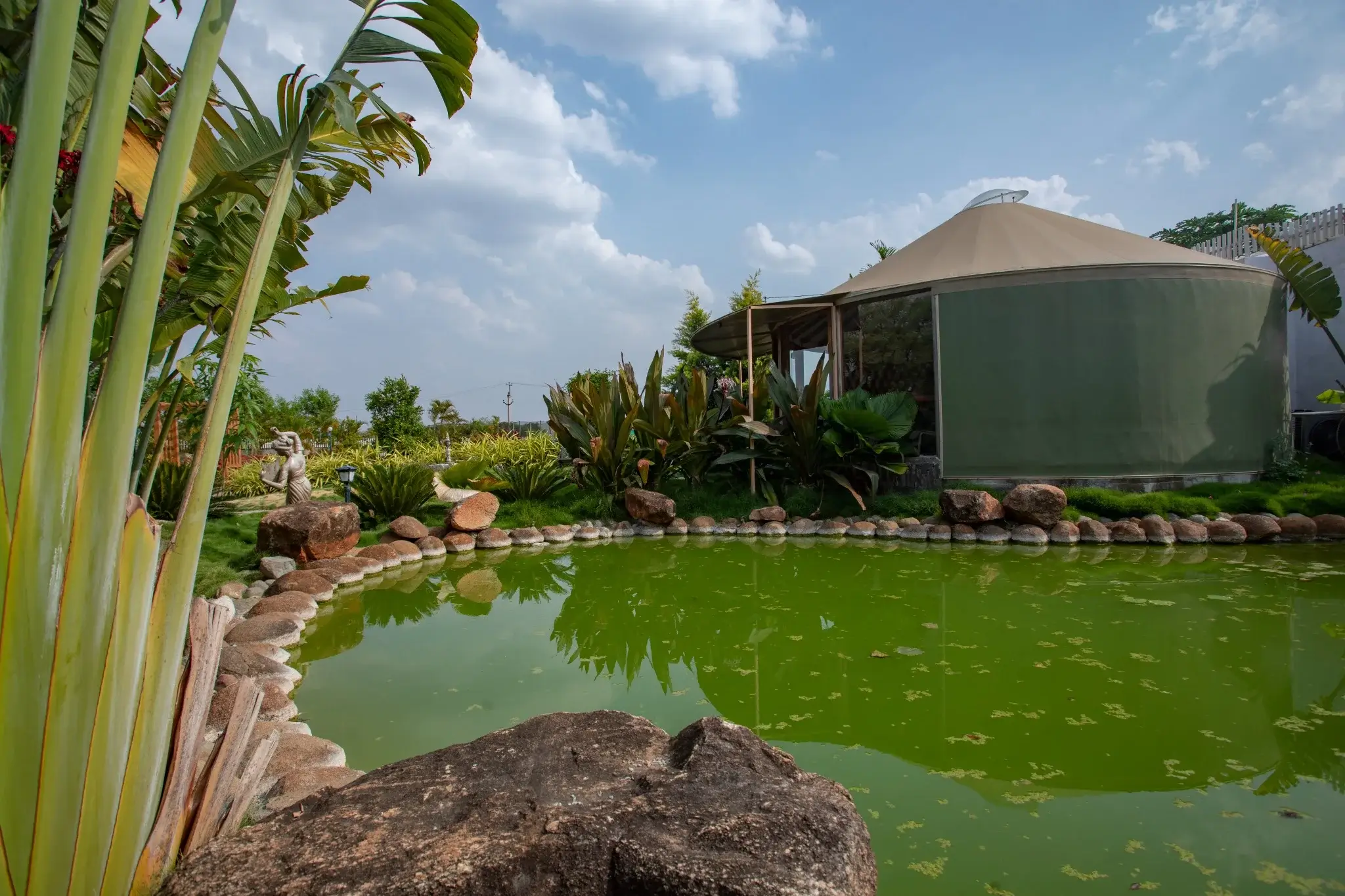 Scenic view of a luxury yurt next to a green pond surrounded by tropical plants
