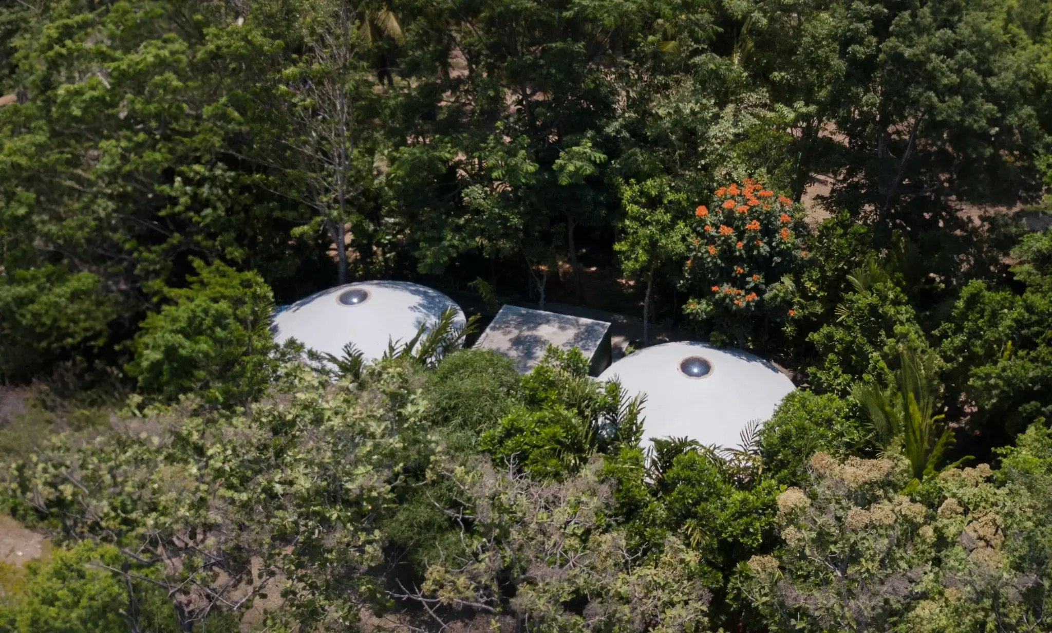 Cozy yurt nestled in a tropical garden