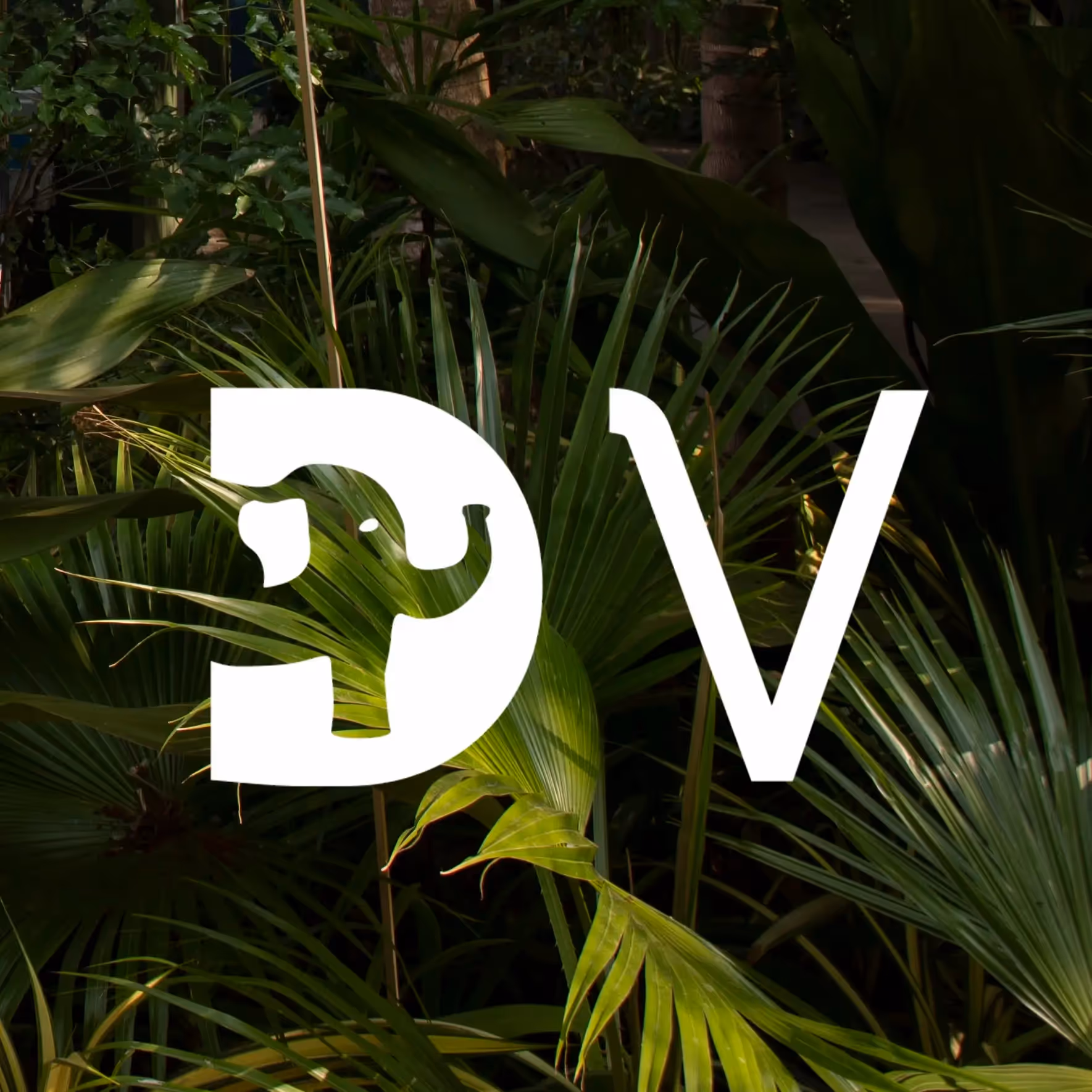 Discovery Village logo featuring an abstract elephant silhouette, set against lush tropical greenery.