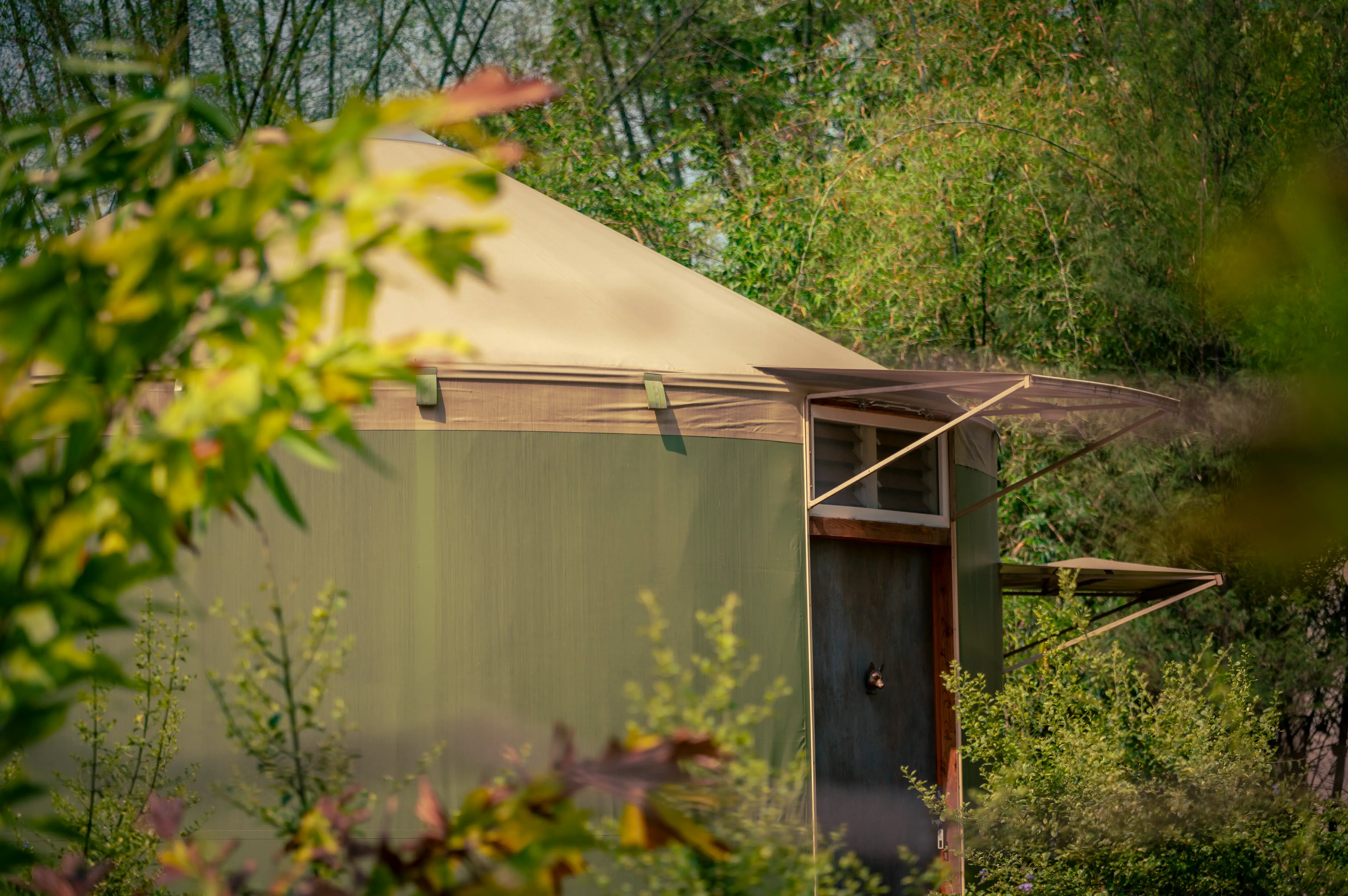 Serene yurt living space with natural textures and open-plan layout