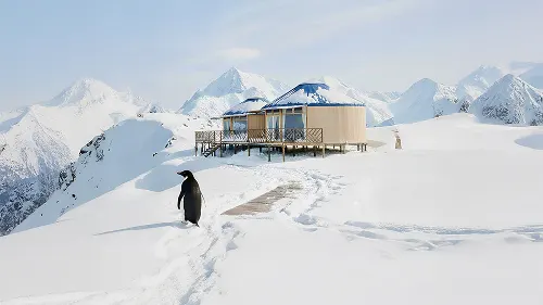 Yurts for Sustainable Tourism – “The Penguin That Chose to Unthink”