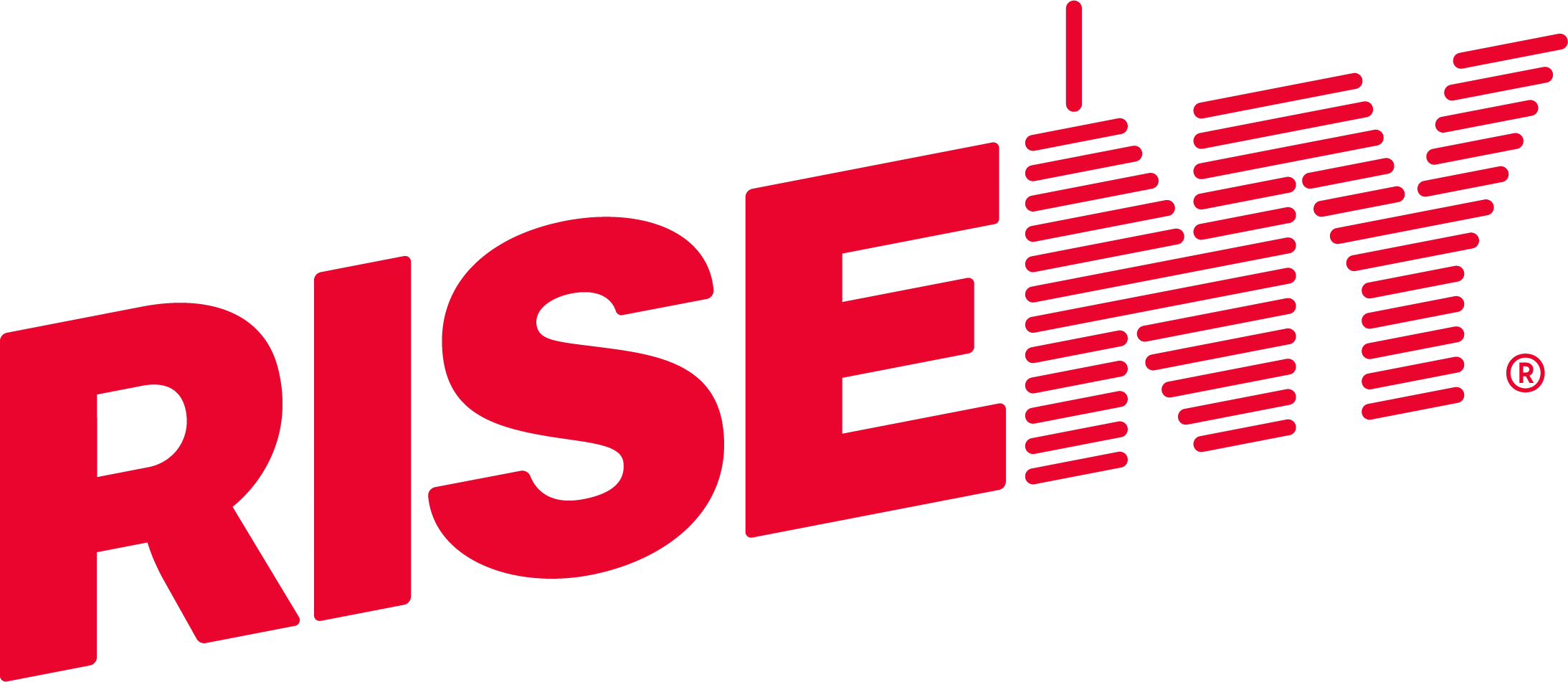 Red RiseNY logo with stylized vertical lines forming the letters NY.
