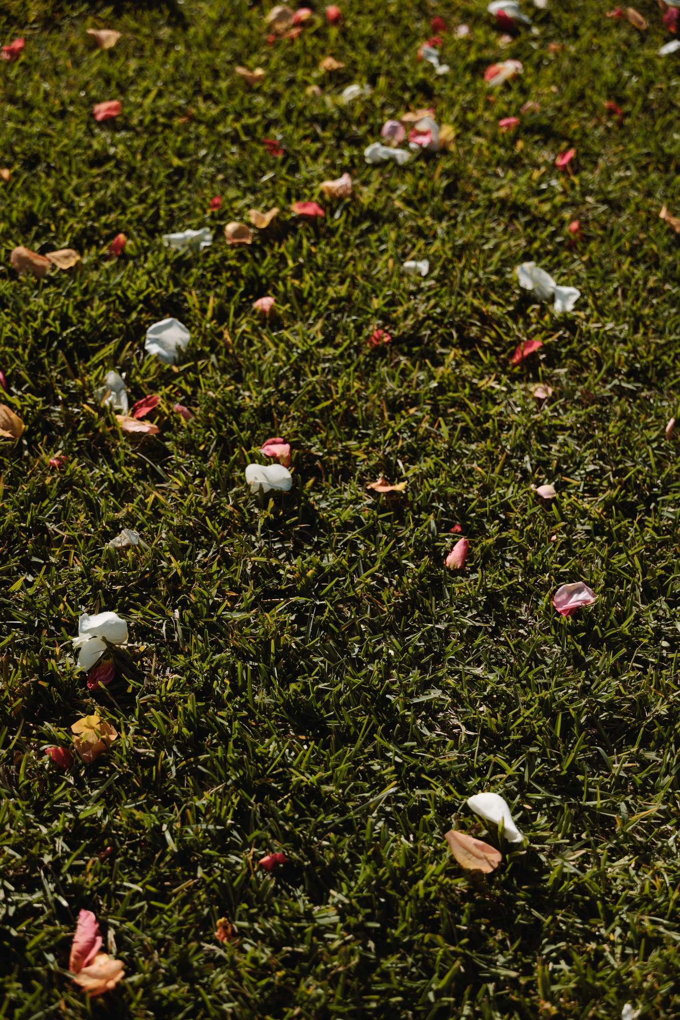 Flower petals scattered across the grass after a Bermuda wedding ceremony
