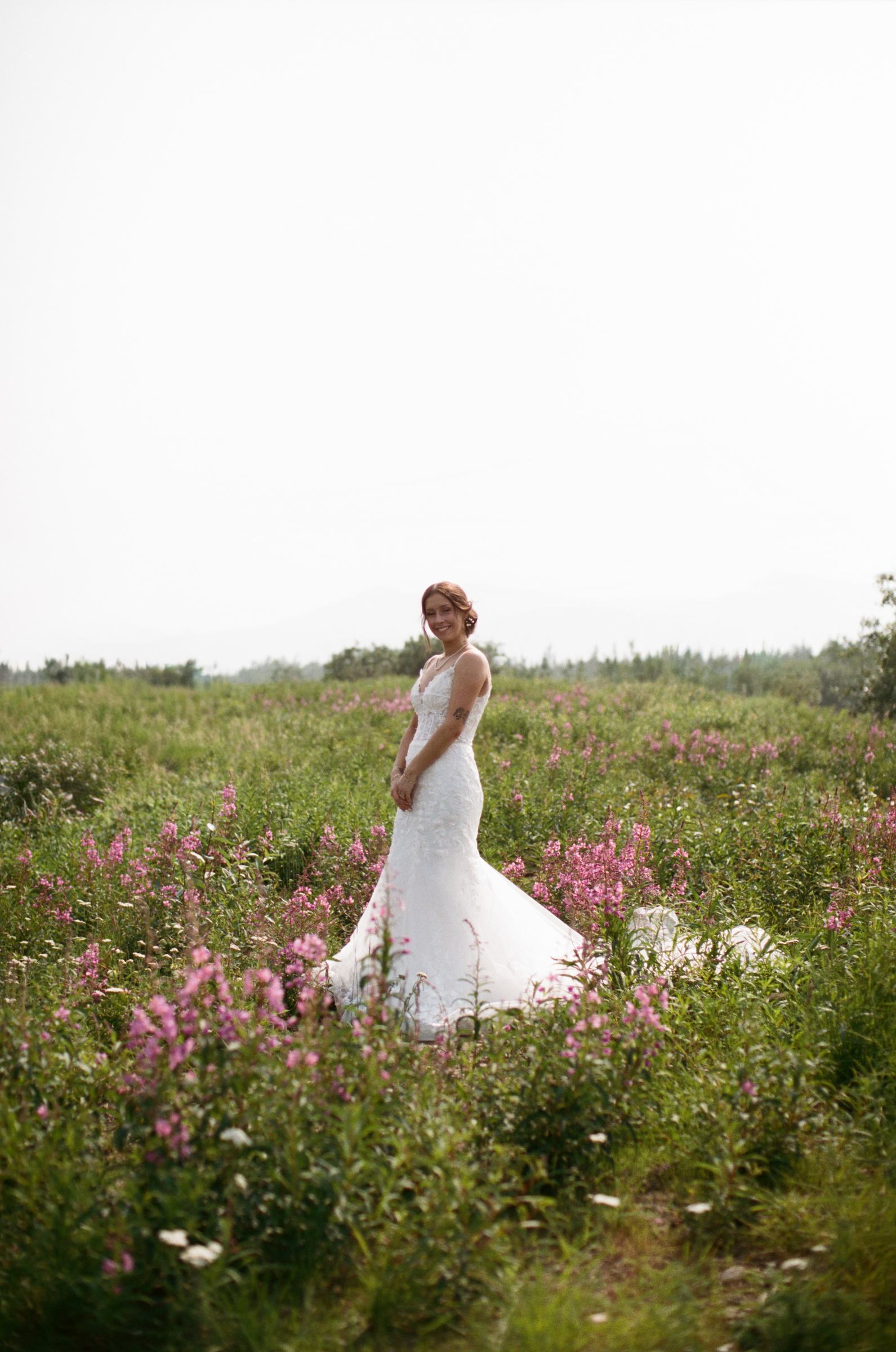 Bride alone in a field of fireweed photographed on film