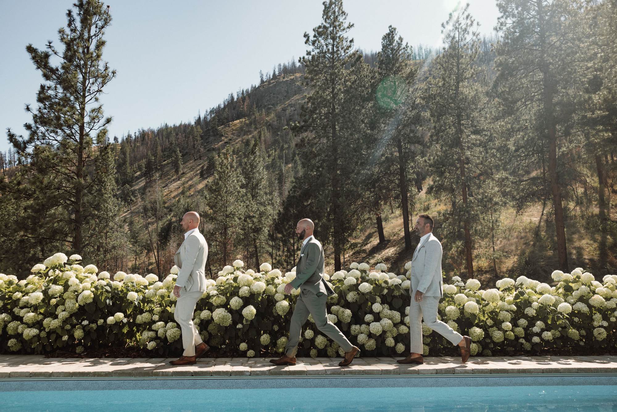 Groomsmen in sage suits walking past the pool and the hydrangea beds