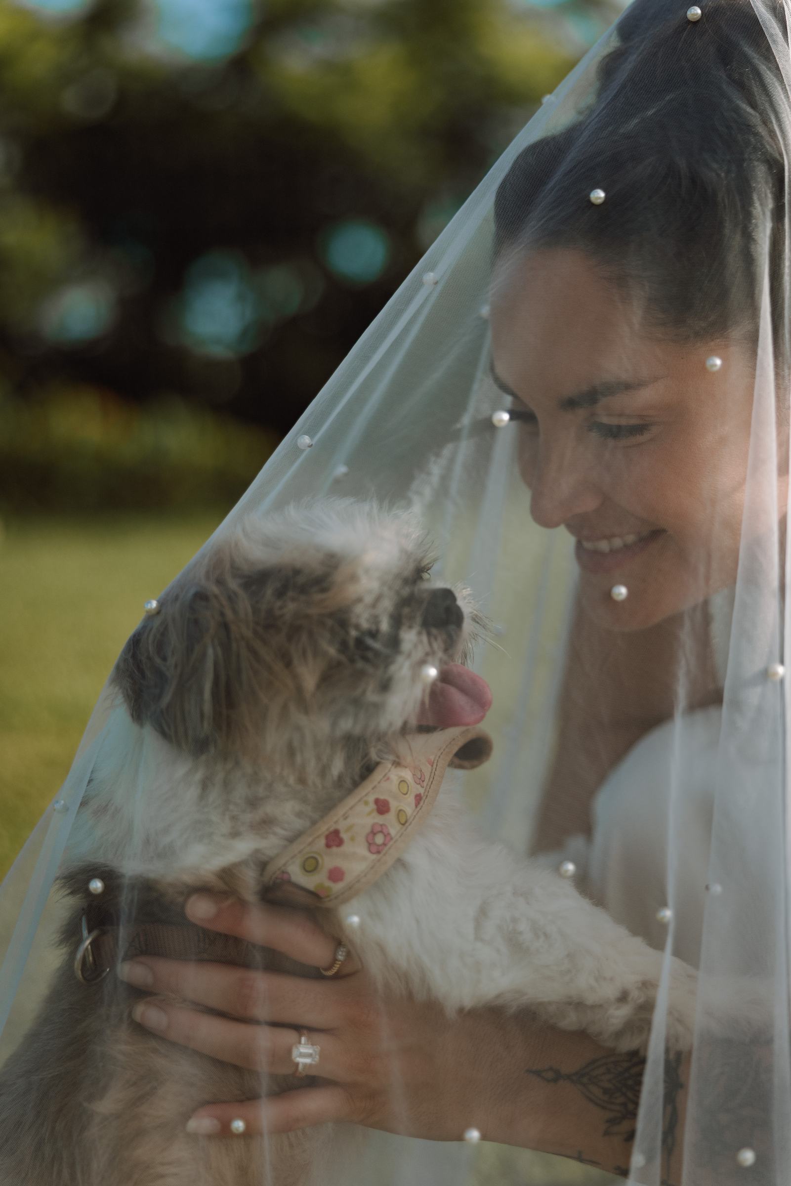 Bride under her veil holding the couple's small dog