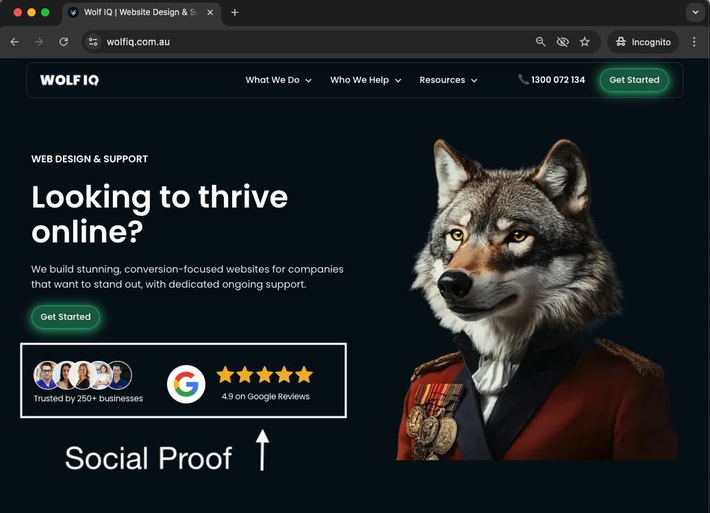 Conversion-focused website design with social proof and Google reviews for businesses - Wolf IQ
