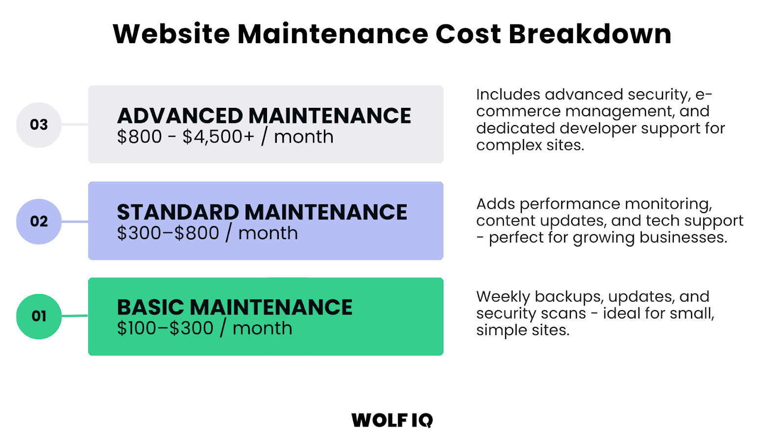 Website maintenance cost breakdown showing basic, standard, and advanced pricing tiers with details - Wolf IQ