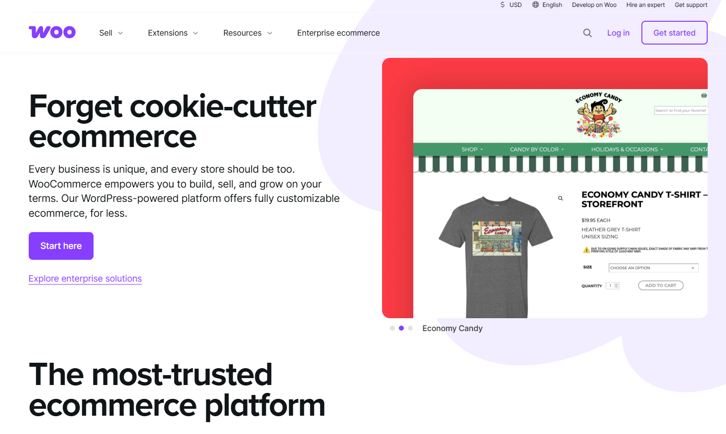 WooCommerce homepage highlighting customizable ecommerce platform features - Wolf IQ