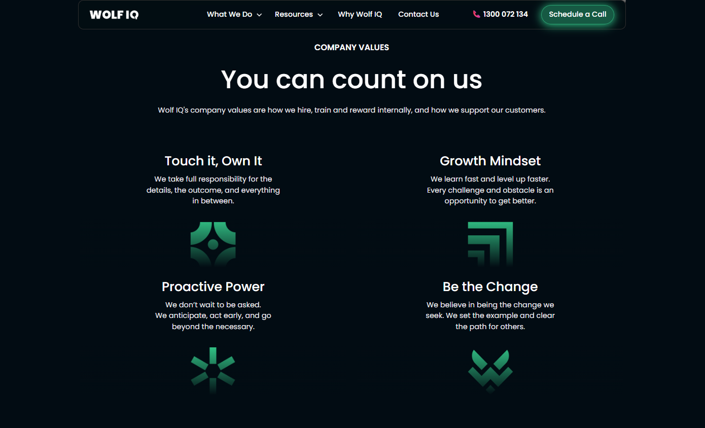 Screenshot of Wolf IQ's company values section featuring custom icons and direct, plain-language descriptions of their core principles - Wolf IQ