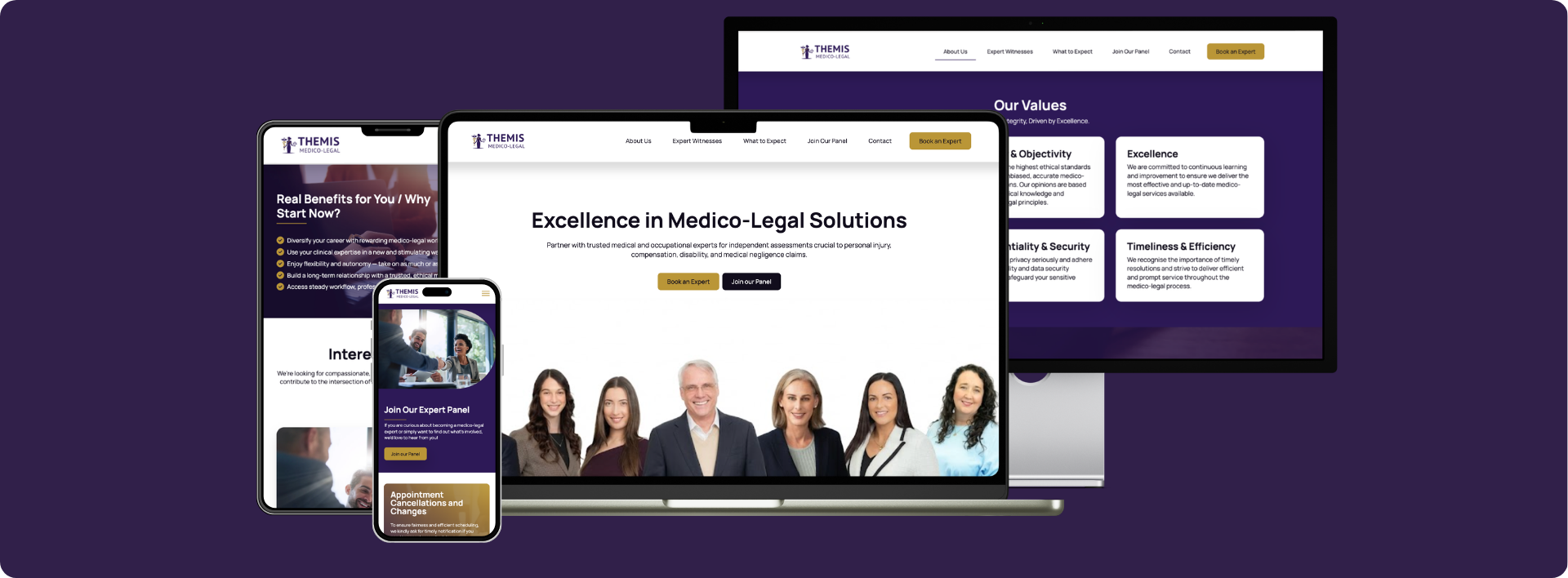 Mayo Hardware website page in difference devices showcase - Wolf IQ