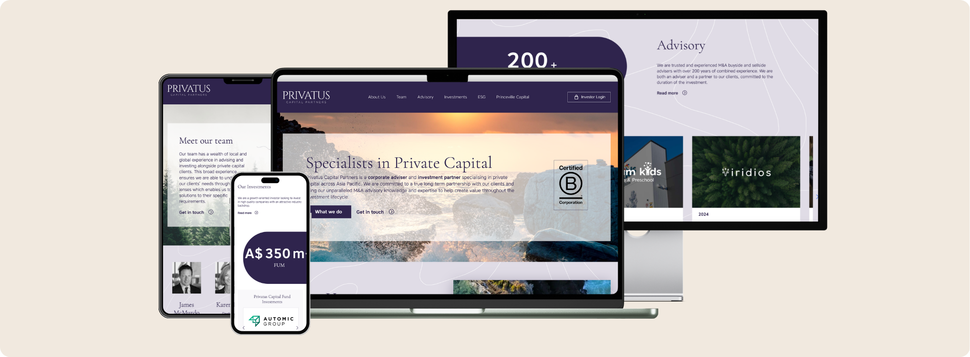 Mayo Hardware website page in difference devices showcase - Wolf IQ