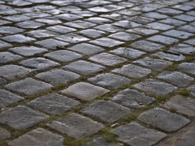 Een close-up foto van bestrating waar mos tussen zit