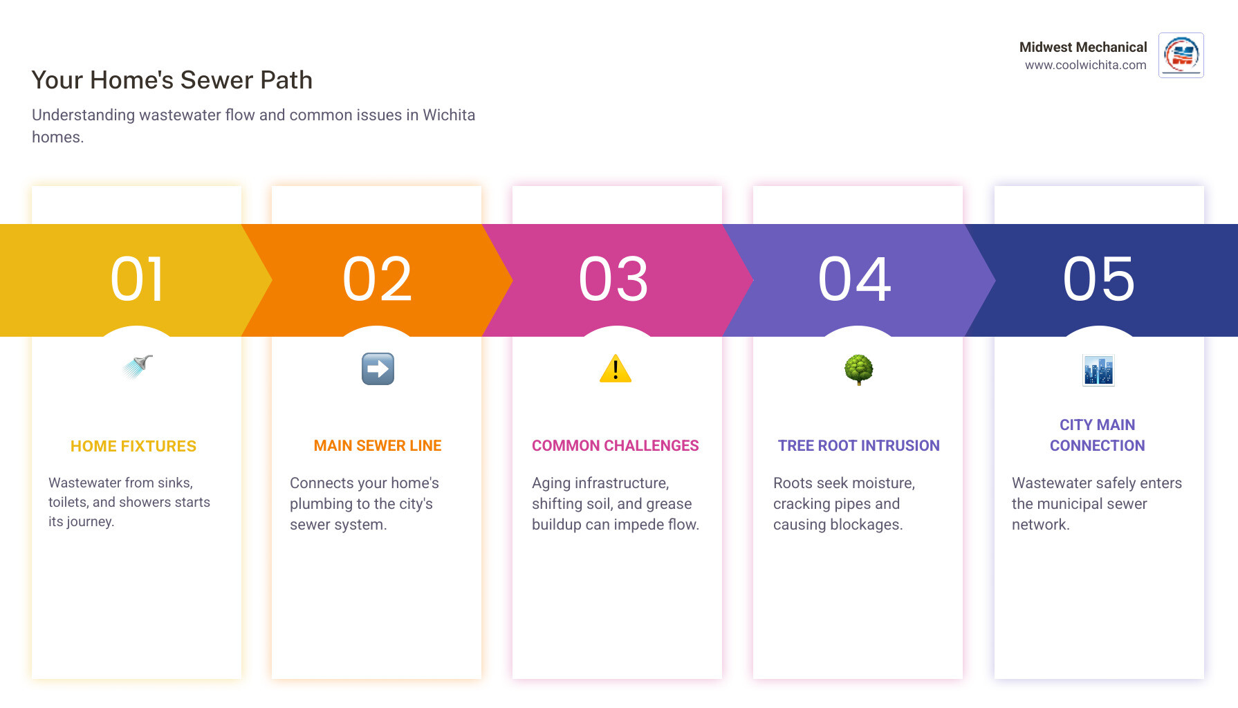 Infographic showing the path of wastewater from home fixtures through the main sewer line to the city connection, including common problem areas like tree root intrusion points and typical pipe materials used in Wichita homes - sewer line repair Wichita infographic pillar-5-steps