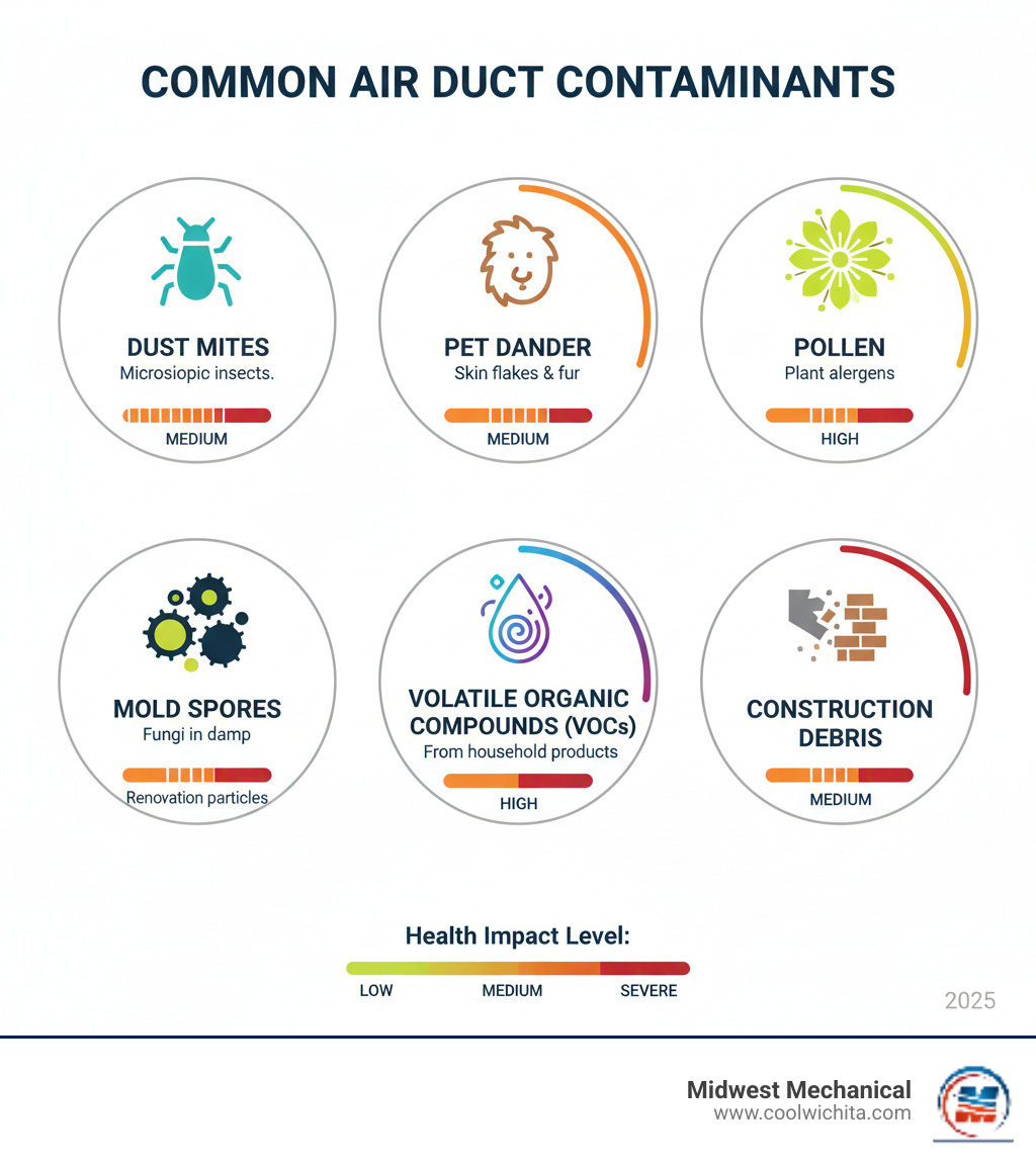 Infographic showing common air duct contaminants including dust mites (microscopic insects living in dust), pet dander (skin flakes and fur particles), pollen (plant allergens that enter through windows and doors), mold spores (fungi that grow in damp conditions), volatile organic compounds from household products, and construction debris from renovations, with icons representing each contaminant and their health impact levels - duct cleaning indoor air quality in andover ks infographic Infographic showing common air duct contaminants including dust mites (microscopic insects living in dust), pet dander (skin flakes and fur particles), pollen (plant allergens that enter through windows and doors), mold spores (fungi that grow in damp conditions), volatile organic compounds from household products, and construction debris from renovations, with icons representing each contaminant and their health impact levels - duct cleaning indoor air quality in andover ks infographic