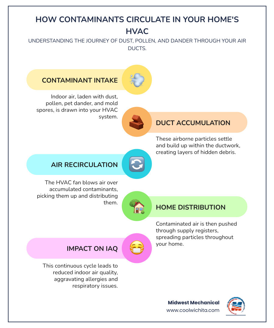 Infographic showing how indoor air contaminants like dust, pollen, pet dander, and mold spores accumulate in ductwork and circulate through a home's HVAC system multiple times per hour, with arrows indicating air flow from return vents through ducts to supply registers and back, highlighting common collection points for debris - duct cleaning indoor air quality in cheney ks infographic infographic-line-5-steps-colors Infographic showing how indoor air contaminants like dust, pollen, pet dander, and mold spores accumulate in ductwork and circulate through a home's HVAC system multiple times per hour, with arrows indicating air flow from return vents through ducts to supply registers and back, highlighting common collection points for debris - duct cleaning indoor air quality in cheney ks infographic infographic-line-5-steps-colors