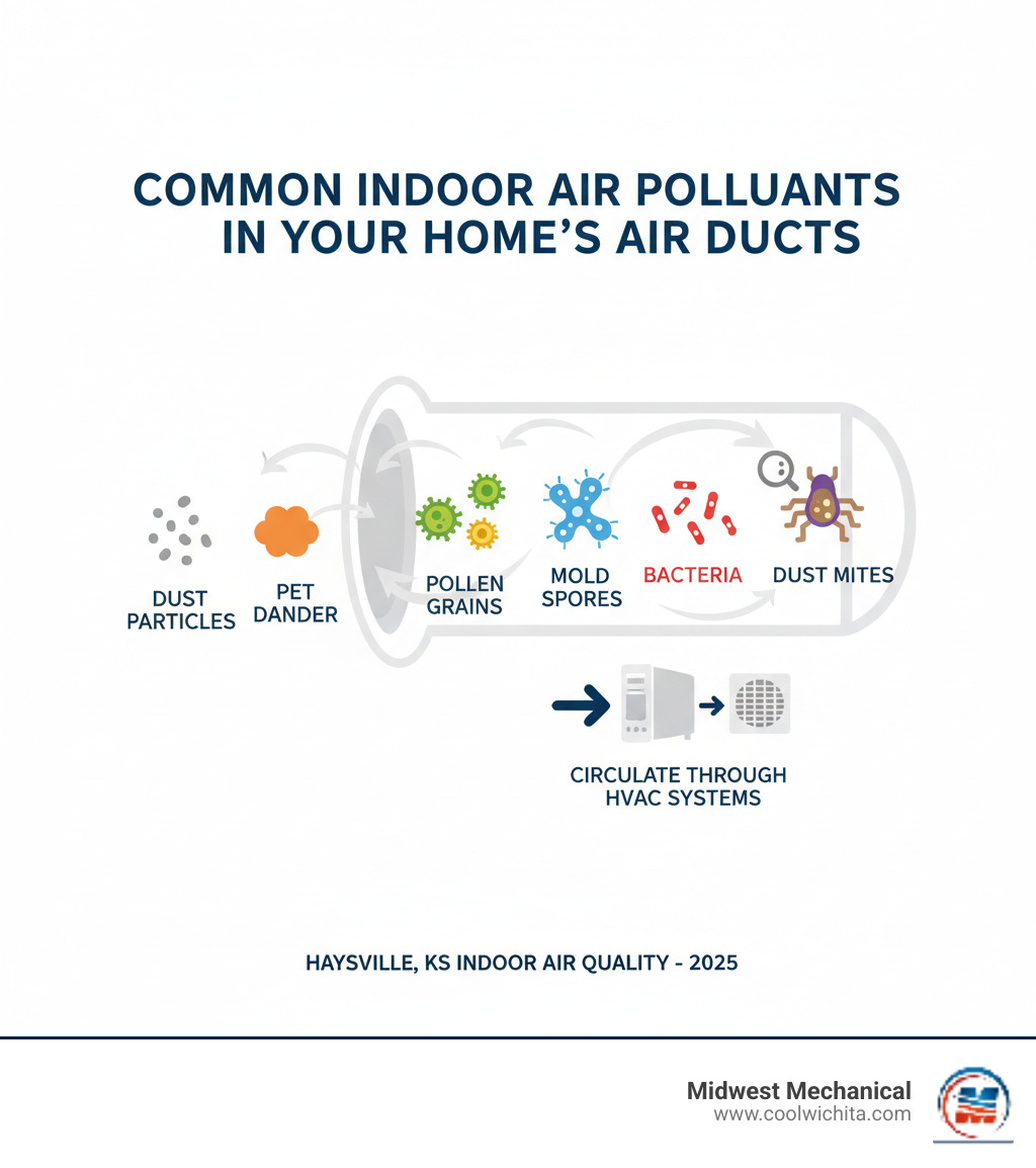 infographic showing common indoor air pollutants including dust particles, pet dander, pollen grains, mold spores, bacteria, and dust mites that accumulate in home air ducts and circulate through HVAC systems - duct cleaning indoor air quality in haysville ks infographic infographic showing common indoor air pollutants including dust particles, pet dander, pollen grains, mold spores, bacteria, and dust mites that accumulate in home air ducts and circulate through HVAC systems - duct cleaning indoor air quality in haysville ks infographic