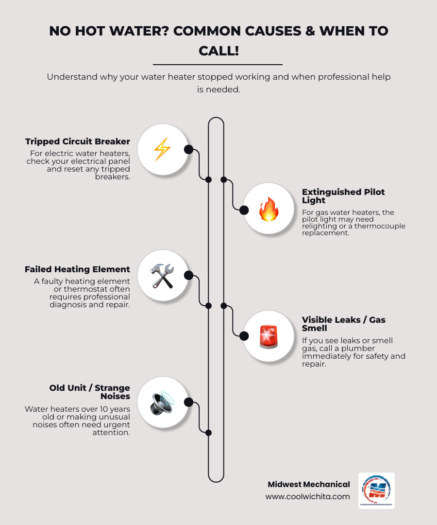 Infographic showing three common causes of no hot water: 1) Tripped circuit breaker or blown fuse (electric water heaters) - check your electrical panel and reset if needed, 2) Extinguished pilot light (gas water heaters) - may need relighting or thermocouple replacement, 3) Failed heating element or thermostat - requires professional diagnosis and repair. Bottom section shows when to call immediately: visible leaks, gas smell, water heater over 10 years old, or strange noises from the tank. - "I have no hot water. Which plumbers in the Wichita area can I call for a same-day fix?" infographic infographic-line-5-steps-elegant_beige