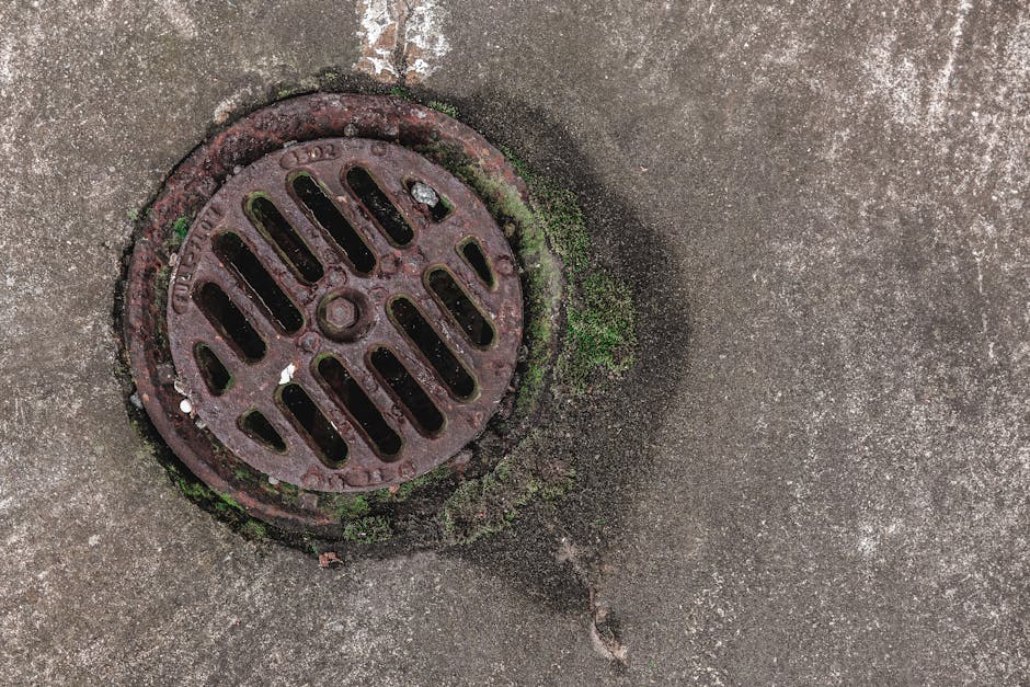 5 Critical Steps to Clear Clogged Shower Drain Near Me