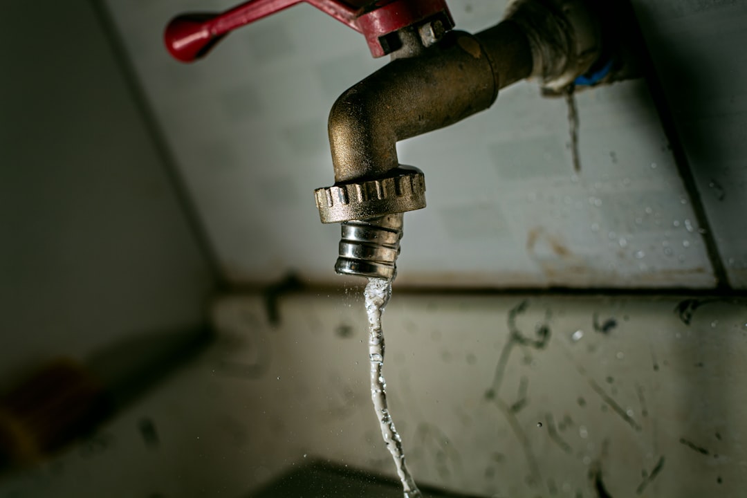 How to Keep Your Pipes Happy and Your Wallet Full