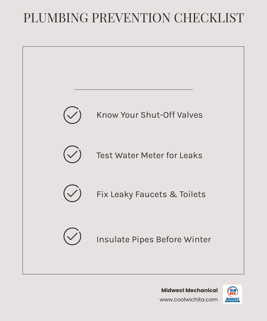 Home plumbing maintenance tips infographic for homeowners covering leaks, drains, water heater, and shut-off valves Home plumbing maintenance tips infographic for homeowners covering leaks, drains, water heater, and shut-off valves