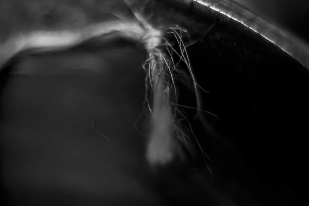 hair buildup in a pipe - how hair and soap scum clog your bathroom drains hair buildup in a pipe - how hair and soap scum clog your bathroom drains