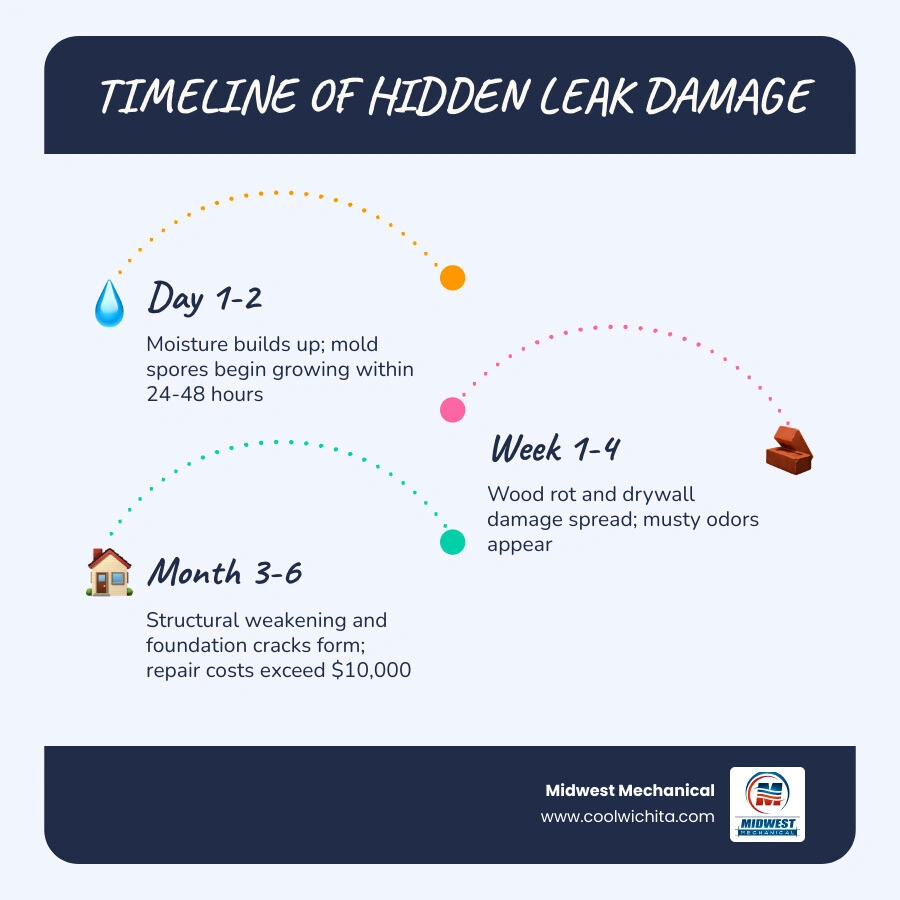Timeline infographic showing water damage and mold growth stages from a hidden plumbing leak infographic Timeline infographic showing water damage and mold growth stages from a hidden plumbing leak infographic